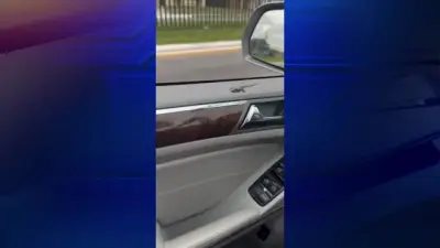 Orlando driver spots baby frog in her car, asks it not to jump at her; tiny stowaway jumps anyway