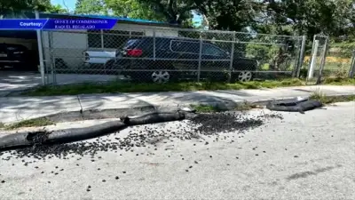 Drainage sock near Coconut Grove Playhouse construction site vandalized twice, officials say