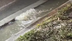 Crews work to repair sewage main break in Northeast Miami-Dade