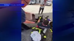 Lauderhill firefighters free kitten stuck inside car